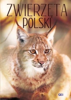 Zwierzęta Polski - 194840 1