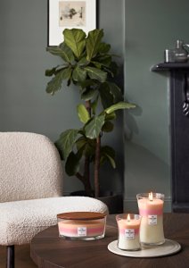 WoodWick WoodWick Trilogy Blooming Orchard Elipsa 453,6g 3