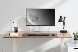 Neomounts Uchwyt biurkowy na monitor 17" - 42" (DS70-450WH1) 15