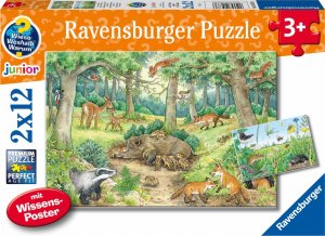 Ravensburger Ravensburger Why? For what reason? Why? Animals in the forest and on the meadow, jigsaw puzzle (2x 12 parts, with knowledge poster) 1