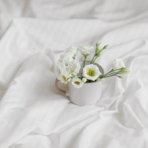 Łóżkoholicy Pościel 220 x 200 3cz Hotel Adamaszek Pasy Selene 5