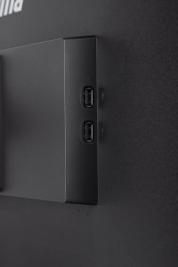 Monitor iiyama G-Master GB2470HSU-B5 Red Eagle 19