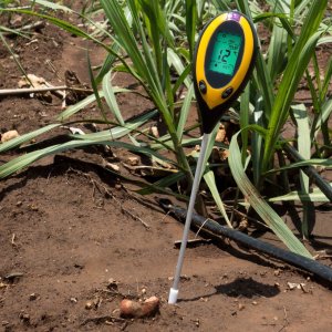 Retoo Kwasomierz Miernik PH Gleby 5