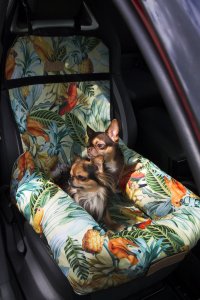 Dogeste Transporter dla psa lub kota w papugi 2