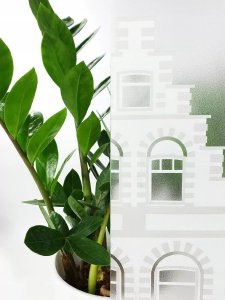 D-c-Fix Okienna Ochronna Folia Statyczna Port Na Okna Szybę Meble 45x25 6