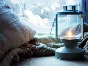 D-c-Fix Bezklejowa Ochronna Folia Okienna Wiewiórki Na Okna Meble Szybę 45x25 4