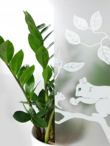 D-c-Fix Bezklejowa Ochronna Folia Okienna Wiewiórki Na Okna Meble Szybę 45x25 6