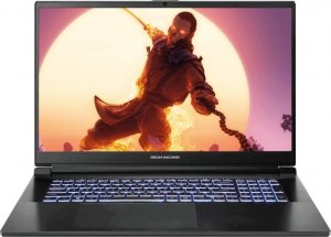 Laptop Dream Machines RG4050-17PL25 i7-13700H / 16 GB / 500 GB / RTX 4050 / 144 Hz 1