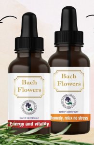 Altius Kwiaty Bacha - Pakiet na stres i wypalenie 1