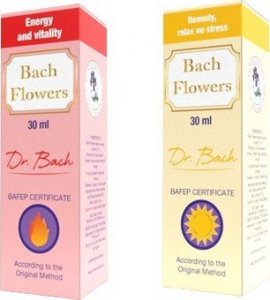 Altius Kwiaty Bacha - Pakiet na stres i wypalenie 4