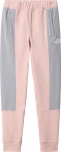 The North Face Spodnie dresowe The North Face Slacker Joggers Dziecięce L 1