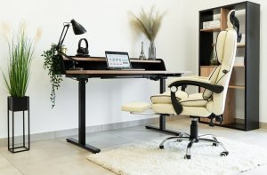 Krzesło biurowe Artnico Fotel Obrotowy Krzesło Biurowe Artnico Seli 3.0 kremowy podnóżek masażer zagłówek 10