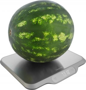 Waga kuchenna Sencor SKS 7300 8