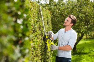 Ryobi Ryobi RHT1845LT25M20 4