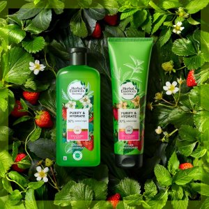 Herbal Essences Herbal Essences Strawberry & Mint Szampon oczyszczający inawilżający do każdego rodzaju włosów 2