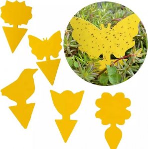 SH Design LEP NA MUSZKI, OWADY, MSZYCE PSZCZOŁA ZESTAW 12 SZTUK 4