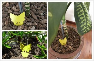 SH Design LEP NA MUSZKI, OWADY, MSZYCE PSZCZOŁA ZESTAW 12 SZTUK 7