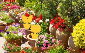 SH Design LEP NA MUSZKI, OWADY, MSZYCE PSZCZOŁA ZESTAW 12 SZTUK 9