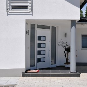 vidaXL vidaXL Drzwi wejściowe, białe, 100x210 cm, aluminium i PVC 1