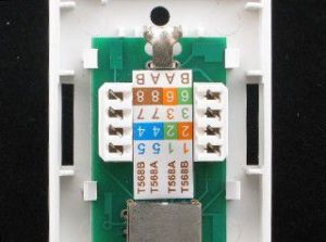 NetRack gniazdo kompletne natynkowe 1xRJ45 FTP kat5e (NP519) 4