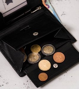 Always Wild Męski, skórzany portfel bez zapięcia zewnętrznego  Always Wild NoSize 10