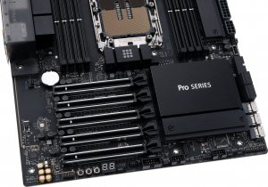 Asus PRO WS W790-ACE 13