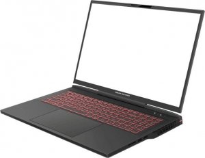 Laptop Dream Machines RX4080-17PL28 i9-13900HX / 32 GB / 1 TB / RTX 4080 / 240 Hz 2