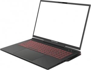 Laptop Dream Machines RX4090-17PL28 i9-13900HX / 32 GB / 1 TB / RTX 4090 / 240 Hz 2