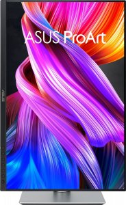 Monitor Asus ProArt PA248CRV (90LM05K0-B01K70) 6