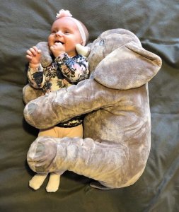 birdo Kocyk w Słoniu Duży Pluszak 5