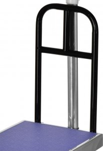 Wagi Tarczyn Waga platformowa WAGI TARCZYN WT-123 300kg 4
