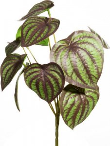 Eurofirany Kwiat sztuczny dekoracyjny peperomia NATU zielono brązowy x6 1