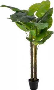 Bigbuy Home Roślina Dekoracyjna 75 x 60 x 155 cm Kolor Zielony Philodendro 1
