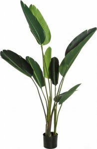 Bigbuy Home Roślina Dekoracyjna Kolor Zielony PVC 150 cm Strelicja Królewska 1
