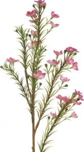 Eurofirany Sztuczny kwiat rozmaryn NATU różowy x6 1