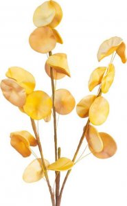 Eurofirany Sztuczny kwiat dekoracyjny eukaliptus FLORE pomarańczowy x6 1