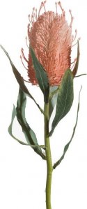 Eurofirany Sztuczny kwiat dekoracyjny srebrnik NATU łososiowy x6 1