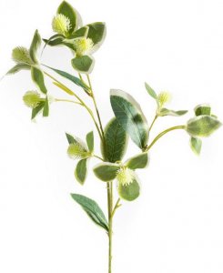 Eurofirany Sztuczny kwiat dekoracyjny trzmielina NATU zielony x6 1