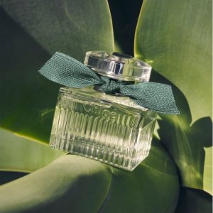 Chloe Chloe Rose Naturelle Intense Woda Perfumowana Damska 50ML 4