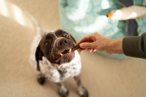 Josera Denties przysmak z drobiem i jagodami 180g 5