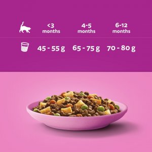 Whiskas Junior z kurczakiem 300g 3