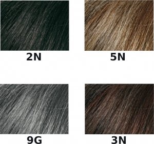 Beardburys Beardburys szampon koloryzujący do włosów 2N- czarny 2