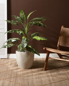 Beliani Doniczka 36 x 36 x 32 cm kremowa KANNIA 2