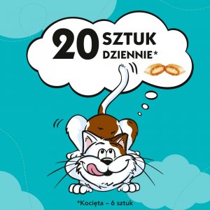Dreamies Przysmak z nutą kocimiętki dla kota op. 60g 3