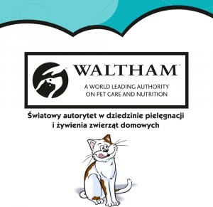 Dreamies Przysmak z nutą kocimiętki dla kota op. 60g 4