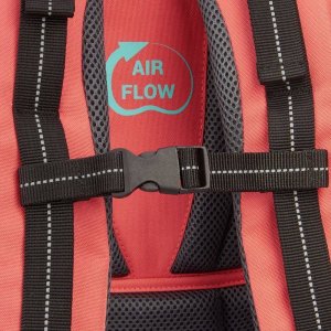 Delsey Plecak szkolny Back to School 14" plecak 17.5 L koral 6