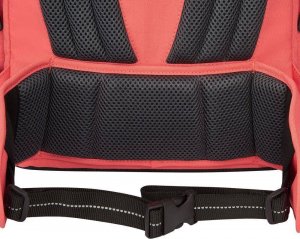 Delsey Plecak szkolny Back to School 14" plecak 17.5 L koral 10