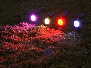 Dekoracja świąteczna Verk LAMPA LAMPKA SOLARNA RGBW LED OGRODOWA ŚWIĄTECZNA 4