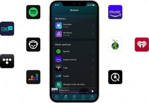 Odtwarzacz multimedialny Arylic ARYLIC WiiM Mini odtwarzacz sieciowy strumieniowy Hi-RES 2