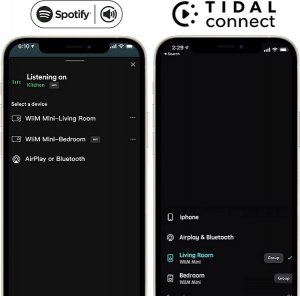 Odtwarzacz multimedialny Arylic ARYLIC WiiM Mini odtwarzacz sieciowy strumieniowy Hi-RES 6
